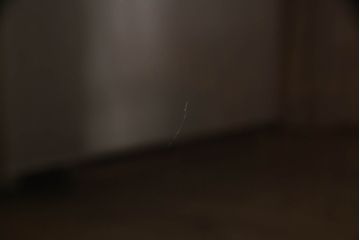 中古　軽井沢彫り　隅々まで施された桜の意匠とシックな色合いが美しいブックケース(本箱、サイドキャビネット、飾り棚、収納棚、戸棚)(R-062361)