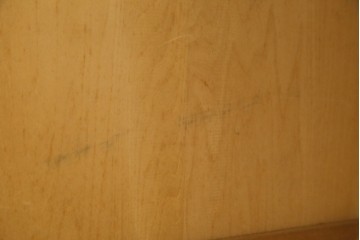 中古　美品　軽井沢彫り　凛と佇む桜の姿が彫刻されたワードローブ　(R-062368)