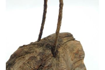 鴨　シギ　それぞれ個性の違った愛らしいデコイ3点セット(置き物、置物、模型、ディスプレイ、インテリア、木製)(R-062377)
