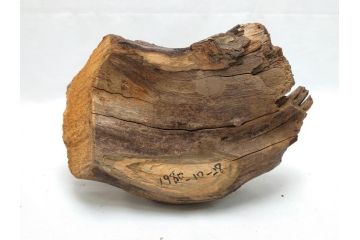鴨　シギ　それぞれ個性の違った愛らしいデコイ3点セット(置き物、置物、模型、ディスプレイ、インテリア、木製)(R-062377)