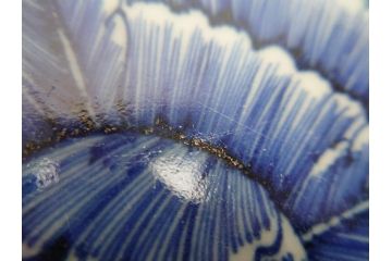 江戸期　成化年製　古伊万里　染付　線描　草花文　1尺1寸　約32.5cm　細かな絵付け技術に魅了される深鉢(一尺一寸、深皿、変形皿、和食器、和皿)(R-062386)