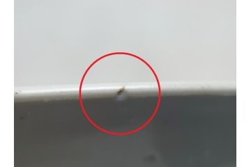 幕末期　伊万里焼　色絵　梅　双鶴　花文　1尺4寸皿　約41cm　色彩豊かで食卓が華やぐ大皿(一尺四寸、和食器、和皿)(R-062388)