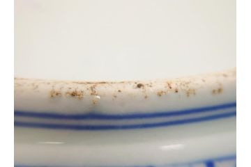 極上品!　江戸期　古伊万里　金彩　色絵　錦手　獅子　鳥　花文　1尺5寸皿　約46.5cm　繊細な筆書きにより珍しい図柄を描いた大皿(一尺五寸、和食器、和皿)(R-062429)