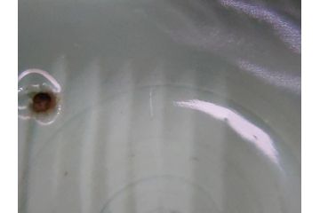青磁　彫金　真鍮製透かし火屋　袴腰　上品な花の透かしが魅力の三つ脚香炉(三つ足、仏具、箱無し)(R-062431)