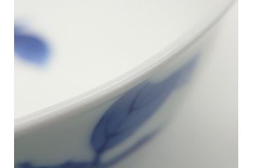 人間国宝　十四代　酒井田柿右衛門　染錦　柿文　5寸皿　約15cm　鉢(中皿、五寸、和食器、和皿、共箱付き)(R-062452)