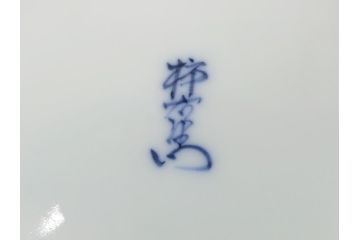 人間国宝　十四代　酒井田柿右衛門　染錦　柿文　5寸皿　約15cm　鉢(中皿、五寸、和食器、和皿、共箱付き)(R-062452)
