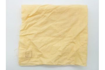 蒔絵師　西條一斉　高蒔絵　梨地　氷梅　中棗(茶道具、茶入、漆器、木製、共箱付き)(R-062467)