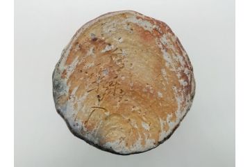 壺中窯　保庭楽入　信楽焼　旅枕　素朴で土の質感が感じられる花入(茶陶しがらき、花瓶、花器、共箱付き)(R-062469)