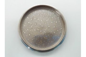 吉田華正作　撫子　金彩　螺鈿　香合(茶道具、小物入れ、共箱付き)(R-062471)