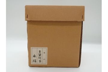 丹山窯　小峠葛芳　古染付写　水指(茶道具、共箱付き、外箱付き)(R-062483)
