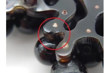 アンティーク　葡萄(ぶどう)?　着こなしのアクセントとなる帯留め(べっ甲?、鼈甲、帯締め、着物道具、和装小物、アクセサリー、ケース付き)(R-062513)