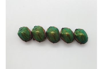 珍品　希少　セミアンティーク　三越　黄金虫(こがねむし)　5連　非常に珍しい縁起物の黄金虫が精巧にデザインされた帯留め(金属製、帯締め、着物道具、和装小物、アクセサリー、ケース付き)(R-062514)
