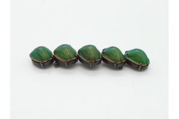 珍品　希少　セミアンティーク　三越　黄金虫(こがねむし)　5連　非常に珍しい縁起物の黄金虫が精巧にデザインされた帯留め(金属製、帯締め、着物道具、和装小物、アクセサリー、ケース付き)(R-062514)