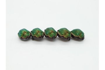 珍品　希少　セミアンティーク　三越　黄金虫(こがねむし)　5連　非常に珍しい縁起物の黄金虫が精巧にデザインされた帯留め(金属製、帯締め、着物道具、和装小物、アクセサリー、ケース付き)(R-062514)
