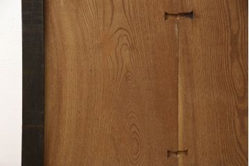 アンティーク建具　彫刻の意匠が珍しい!迫力のある亀の彫りに魅了される引き戸1枚(蔵戸、玄関戸)(R-062542)