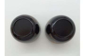 時代物　鈴木表朔　一閑張　色漆絵　春野　秋野　棗　一双入　尋牛斎書付(共箱付き、茶筒、茶道具)(R-062574)