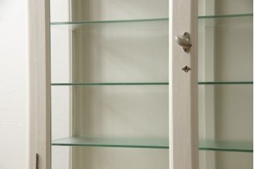 和製アンティーク　昭和中期　シャビーシックな雰囲気が魅力のケビントガラスケース(ショーケース、飾り棚、陳列棚、収納棚、戸棚、デンタルケース、デンタルキャビネット)(R-062640)