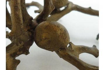 MAITLAND SMITH(メートランドスミス)　真鍮と貝のアクセサリートレイ(珊瑚、サンゴ、小物入れ、ブラス、BRASS、シェル、SHELLFISH、ディスプレイ)(R-062664)