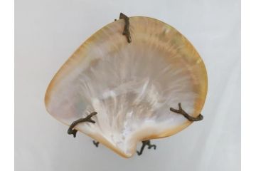 MAITLAND SMITH(メートランドスミス)　真鍮と貝のアクセサリートレイ(珊瑚、サンゴ、小物入れ、ブラス、BRASS、シェル、SHELLFISH、ディスプレイ)(R-062664)