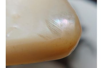 MAITLAND SMITH(メートランドスミス)　真鍮と貝のアクセサリートレイ(珊瑚、サンゴ、小物入れ、ブラス、BRASS、シェル、SHELLFISH、ディスプレイ)(R-062664)