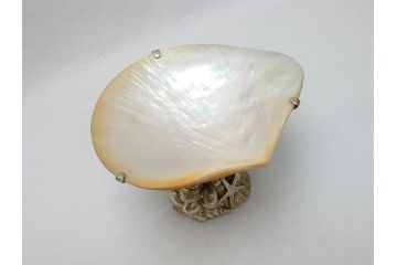 MAITLAND SMITH(メートランドスミス)　真鍮と貝のアクセサリートレイ(小物入れ、ブラス、BRASS、シェル、SHELLFISH、ディスプレイ)(R-062665)