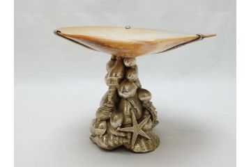MAITLAND SMITH(メートランドスミス)　真鍮と貝のアクセサリートレイ(小物入れ、ブラス、BRASS、シェル、SHELLFISH、ディスプレイ)(R-062665)