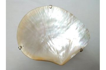 MAITLAND SMITH(メートランドスミス)　真鍮と貝のアクセサリートレイ(小物入れ、ブラス、BRASS、シェル、SHELLFISH、ディスプレイ)(R-062665)