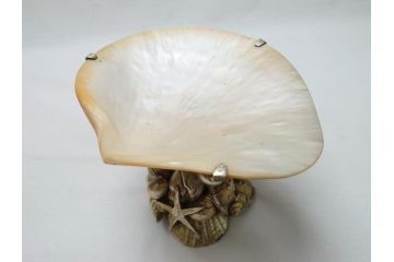 MAITLAND SMITH(メートランドスミス)　真鍮と貝のアクセサリートレイ(小物入れ、ブラス、BRASS、シェル、SHELLFISH、ディスプレイ)(R-062665)