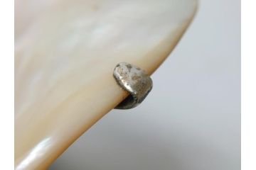 MAITLAND SMITH(メートランドスミス)　真鍮と貝のアクセサリートレイ(小物入れ、ブラス、BRASS、シェル、SHELLFISH、ディスプレイ)(R-062665)