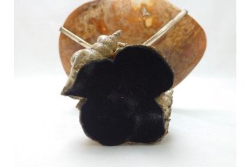 MAITLAND SMITH(メートランドスミス)　真鍮と貝のアクセサリートレイ(小物入れ、ブラス、BRASS、シェル、SHELLFISH、ディスプレイ)(R-062665)