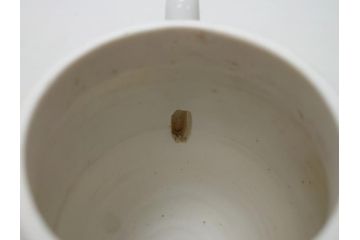  	三浦竹泉　白磁　古窯　水注(共箱付き、茶道具、煎茶道、書道、水次、みずつぎ、茶陶、京焼、茶器)(R-062675)