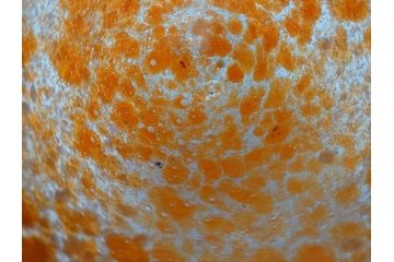 ガラス工芸　岩田藤七　花瓶(共箱付き、花入、フラワーベース、花器、硝子、グラス、岩田ガラス)(R-062680)