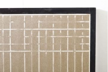 和製アンティーク　上品な佇まいが魅力の書院戸2枚セット(障子戸、引き戸、建具)(R-062727)