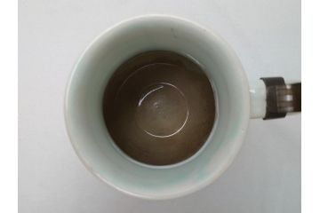 ドイツ　独逸　色絵花文　蓋付き　ジョッキ(ビアマグ、ビールポット、ビールジョッキ、陶器、酒器、共箱付き)(R-062768)