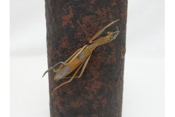 稀少　明治期　玉光齋　鉄製　蟷螂　花入(カマキリ、かまきり、花瓶)(R-062826)