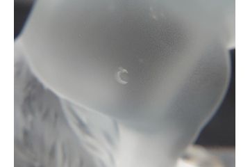 フランス　LALIQUE(ラリック)　クリスタル　跳ね馬　置物(箱なし、ガラス製、オブジェ、インテリア)(R-062827)