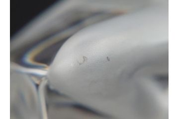 フランス　LALIQUE(ラリック)　クリスタル　跳ね馬　置物(箱なし、ガラス製、オブジェ、インテリア)(R-062828)