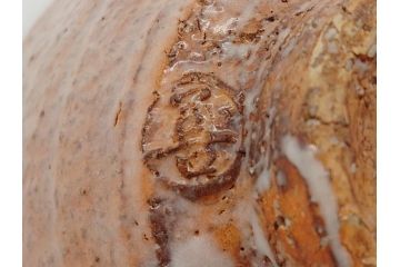 萩焼　指月窯　波多野善蔵　彩雲　茶碗(而妙斎書付、共箱付き、茶器、茶道具、和食器)(R-062833)