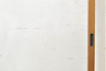 アンティーク建具　シンプルなデザインで使いやすいガラス窓1枚(引き戸、ガラス戸、建具)(R-062867)