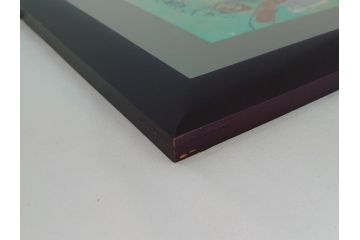 渡辺俊明　蓮笑庵　墨彩詩書画　春夏秋冬　雑花微笑　俊めいがたり(絵画、額装)(R-062889)