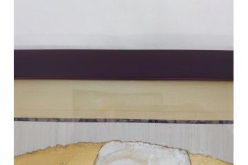 渡辺俊明　蓮笑庵　墨彩画　月と夏草図　野の花がいい　力むこともなく　自分らしく　素直に咲いているのがいいね　俊めいがたり(絵画、額装)(R-062892)