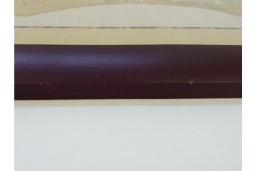 渡辺俊明　蓮笑庵　墨彩画　月と夏草図　野の花がいい　力むこともなく　自分らしく　素直に咲いているのがいいね　俊めいがたり(絵画、額装)(R-062892)
