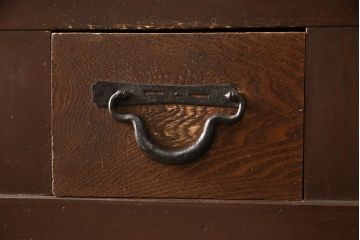 和製アンティーク　明治大正期　美しい杢目とシックな色合いが魅力的な水屋箪笥サイドボード(ローボード、収納棚、戸棚)(R-062929)