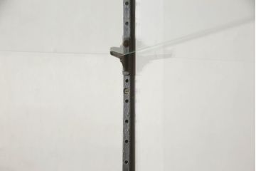イギリスアンティーク　最高級マホガニー材　エレガントな彫刻入りの縦型ガラスケース(ショーケース、飾り棚、収納棚、戸棚、店舗什器)(R-062936)