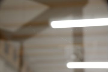 イギリスアンティーク　最高級マホガニー材　エレガントな彫刻入りの縦型ガラスケース(ショーケース、飾り棚、収納棚、戸棚、店舗什器)(R-062936)