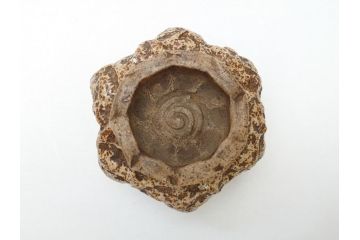 江戸〜明治期　古相馬　相馬焼　見込走り駒　走り駒　湯呑(共箱なし、煎茶椀、ぐいのみ、和食器)(R-062955)