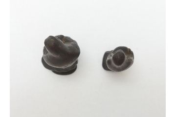  	江戸期　古い仏像など5点(置物、オブジェ、古銅、古玩、観音像、チベット像?)(R-062992)