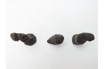 江戸〜明治期　古い仏像3点(置物、オブジェ、古銅、古玩、観音像)(R-062996)