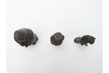 江戸〜明治期　古い仏像3点(置物、オブジェ、古銅、古玩、観音像)(R-062997)