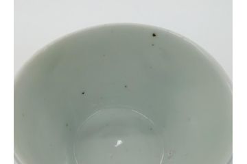 江戸期　古伊万里　染付　草花文　蕎麦猪口(並び水仙文、そば猪口、湯呑、和食器)(R-063068)
